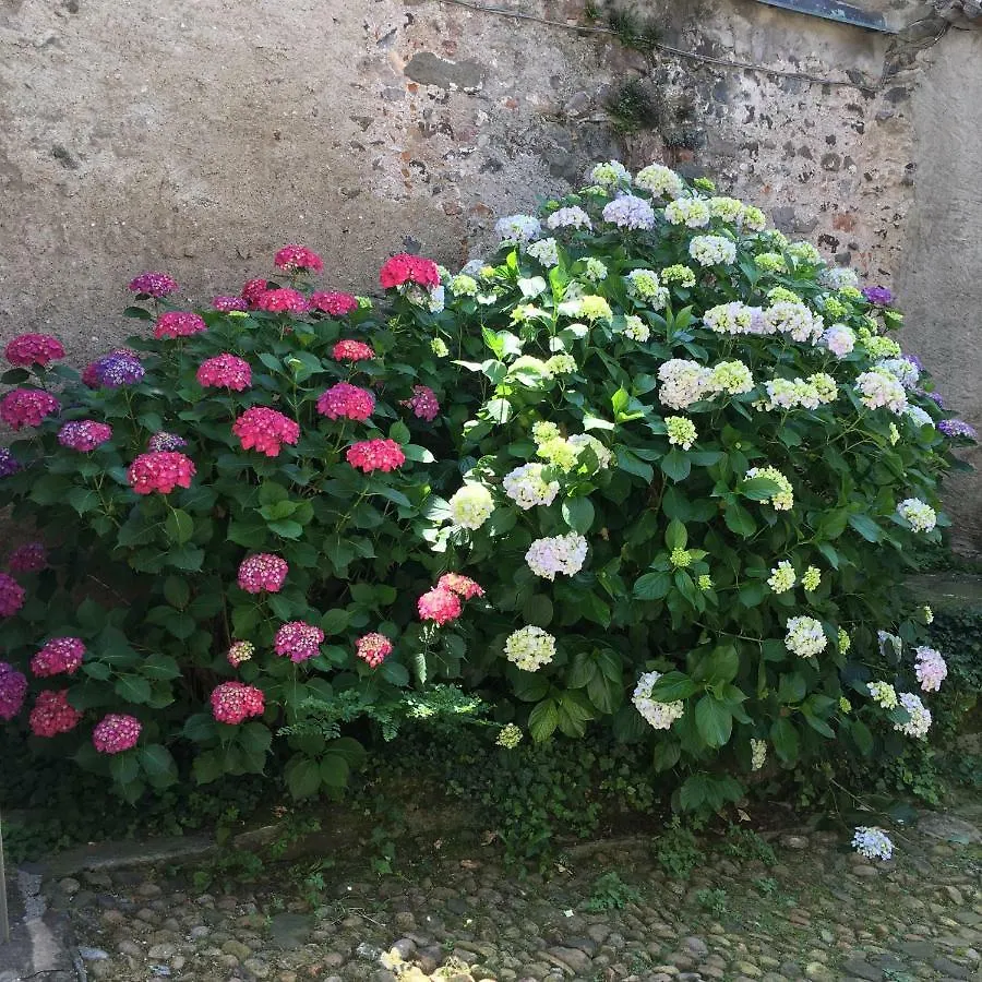 La Solatia Villa Porto Ceresio Holiday home